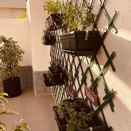 Landhaus Vila Lido Funchal (Madeira)